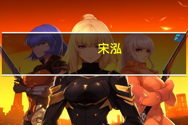 宋泓(关于宋泓简述)