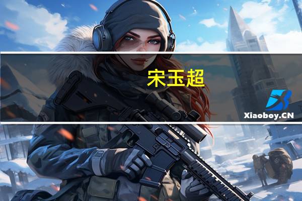 宋玉超(关于宋玉超简述)