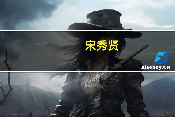 宋秀贤(关于宋秀贤简述)