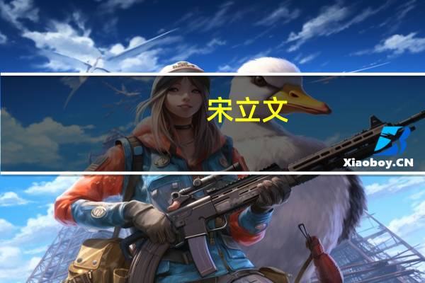 宋立文(关于宋立文简述)