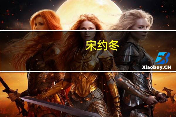 宋约冬(关于宋约冬简述)