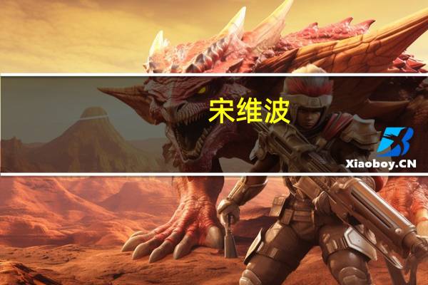 宋维波(关于宋维波简述)