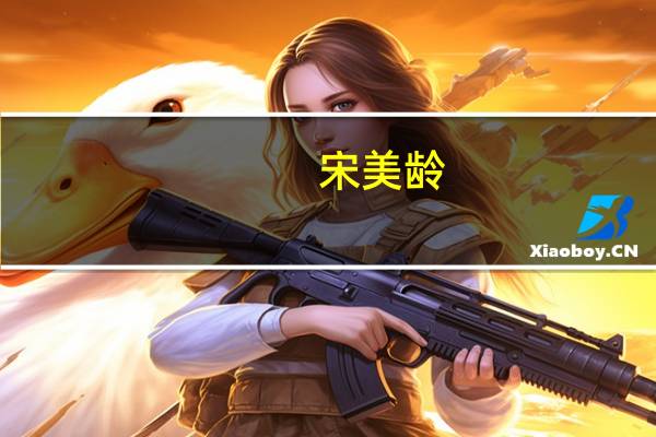 宋美龄：20世纪世界最尊贵的夫人(2)