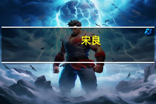 宋良(关于宋良简述)