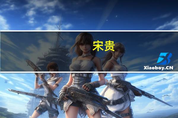 宋贵(关于宋贵简述)