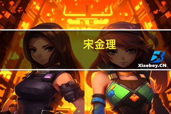 宋金理(关于宋金理简述)