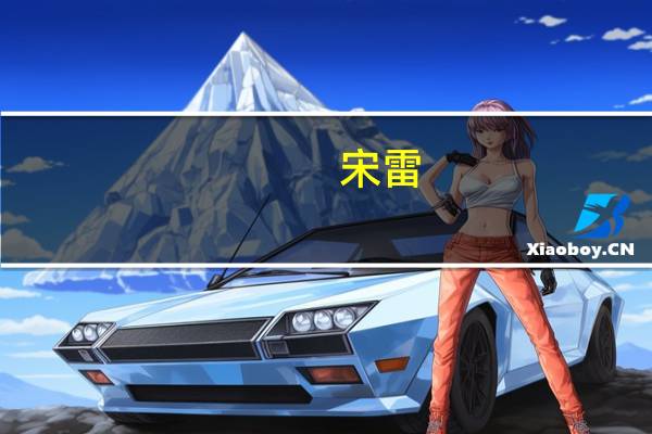 宋雷(关于宋雷简述)