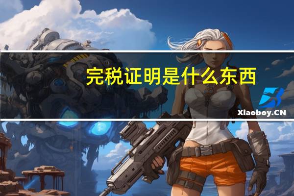 完税证明是什么东西（完税证明是什么）