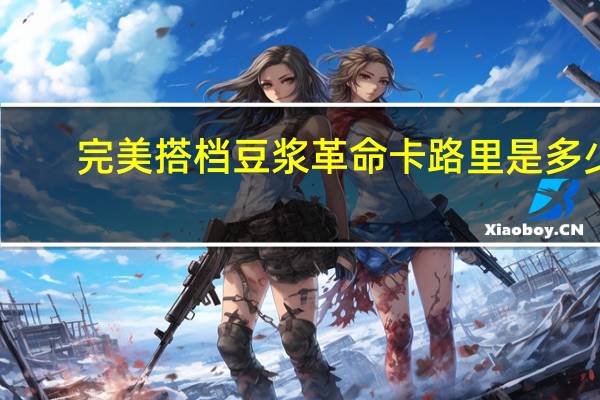 完美搭档 豆浆革命卡路里是多少