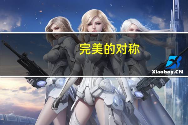 完美的对称(关于完美的对称简述)