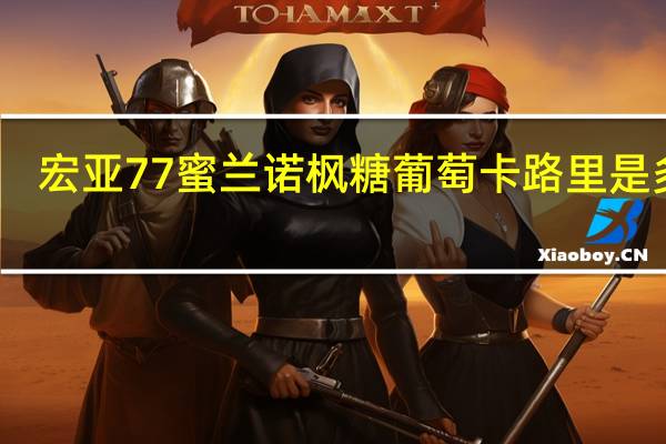 宏亚77蜜兰诺枫糖葡萄卡路里是多少