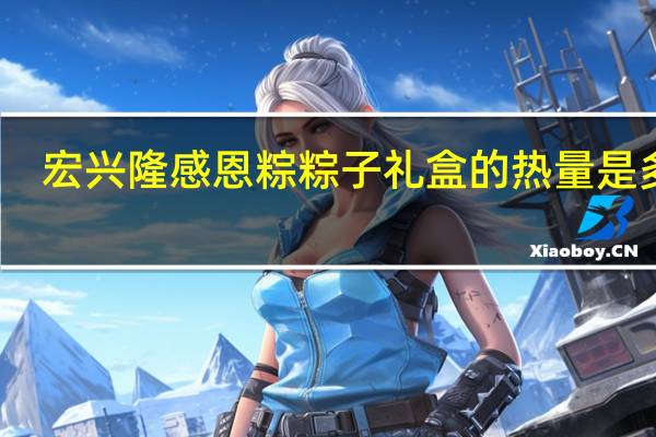 宏兴隆 感恩粽 粽子礼盒的热量是多少