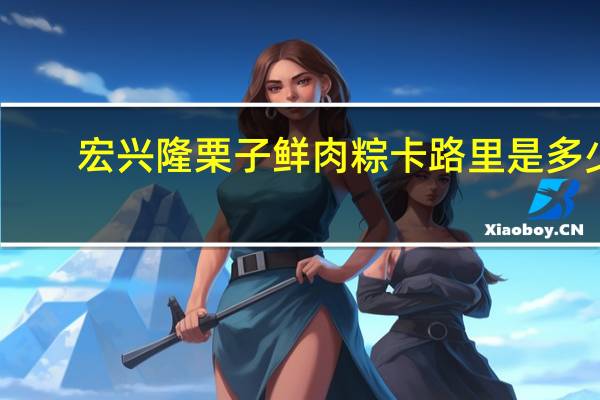 宏兴隆 栗子鲜肉粽卡路里是多少