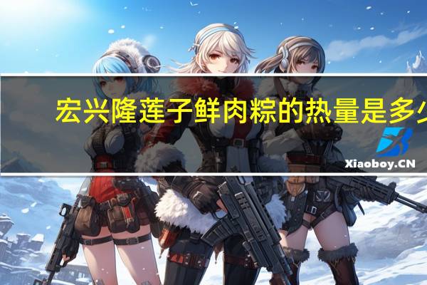 宏兴隆 莲子鲜肉粽的热量是多少