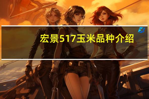 宏景517玉米品种介绍