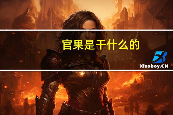 官果是干什么的