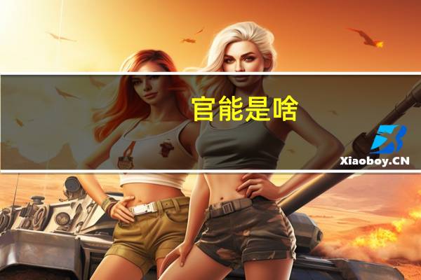 官能是啥（官能基简介）