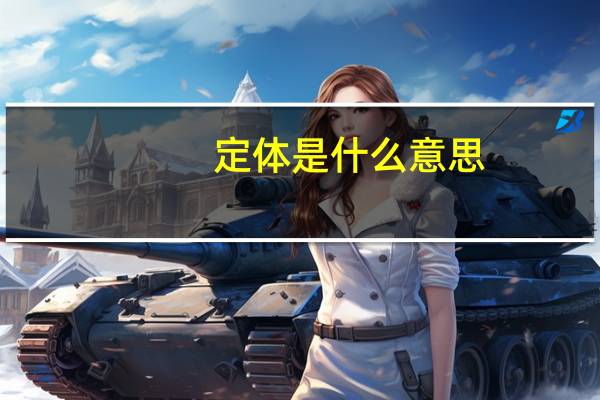 定体是什么意思