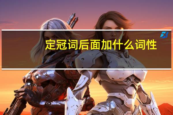 定冠词后面加什么词性