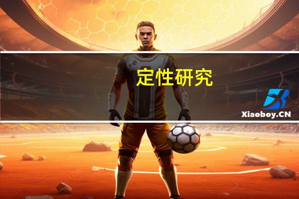 定性研究：方法论基础(关于定性研究：方法论基础简述)