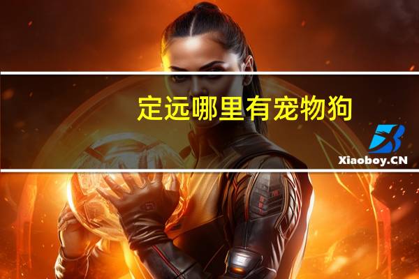 定远哪里有宠物狗