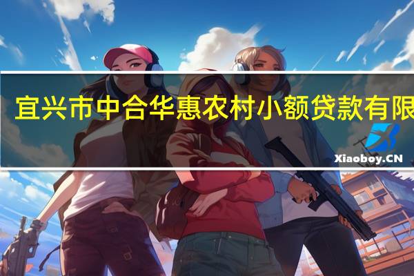 宜兴市中合华惠农村小额贷款有限公司(关于宜兴市中合华惠农村小额贷款有限公司简述)