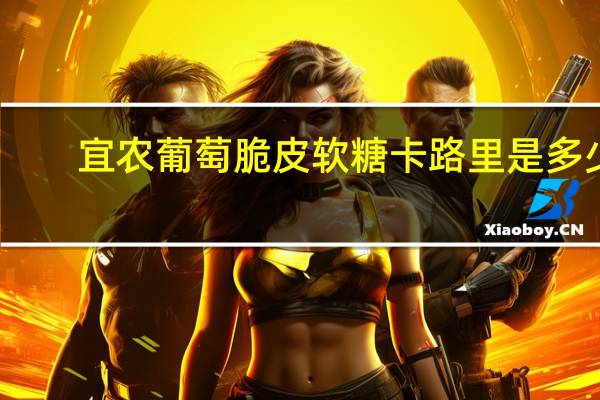 宜农 葡萄脆皮软糖卡路里是多少