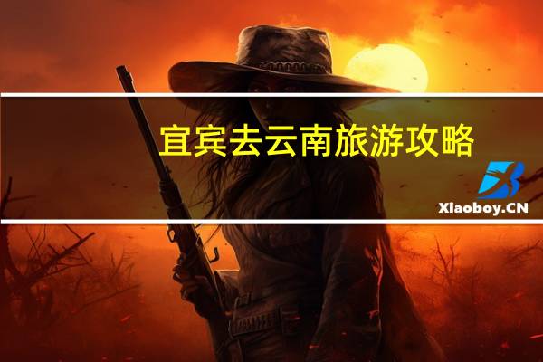 宜宾去云南旅游攻略