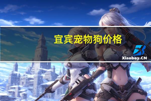 宜宾宠物狗价格