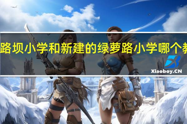 宜昌市铁路坝小学和新建的绿萝路小学哪个教育质量更好些