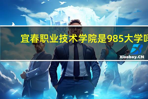 宜春职业技术学院是985大学吗