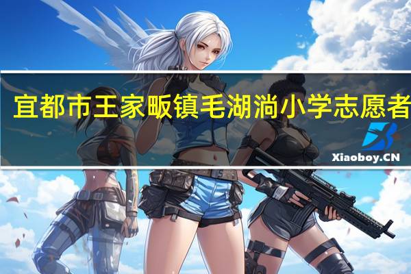 宜都市王家畈镇毛湖淌小学志愿者团队(关于宜都市王家畈镇毛湖淌小学志愿者团队简述)