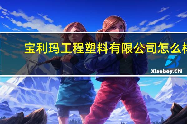 宝利玛工程塑料有限公司怎么样（导电塑料宝利玛PA6简介）