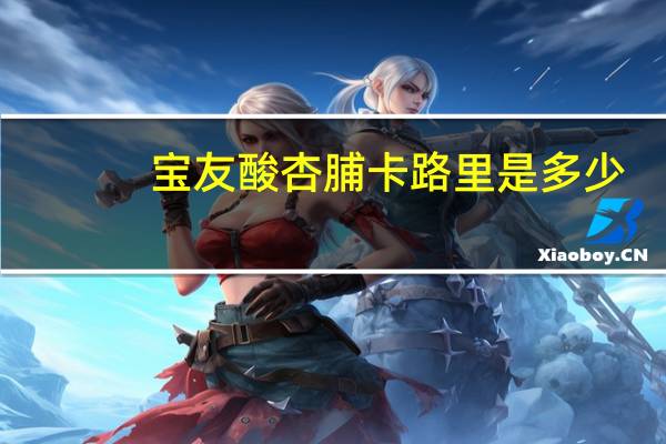宝友 酸杏脯卡路里是多少