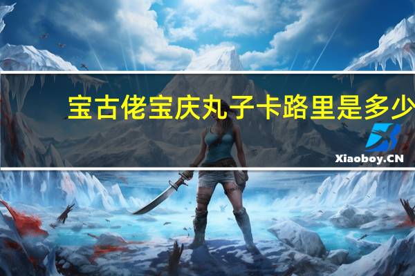 宝古佬 宝庆丸子卡路里是多少