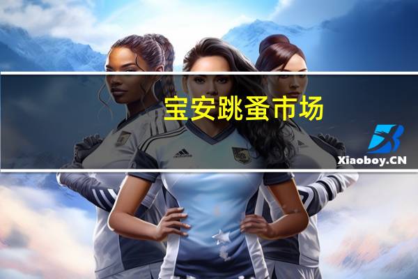 宝安跳蚤市场（深圳跳蚤市场简介）