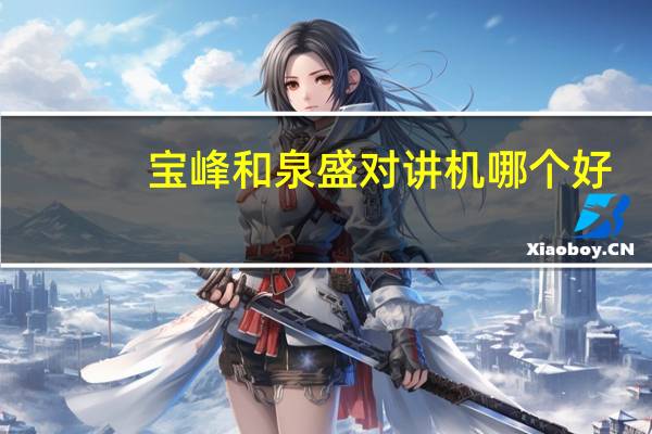 宝峰和泉盛对讲机哪个好