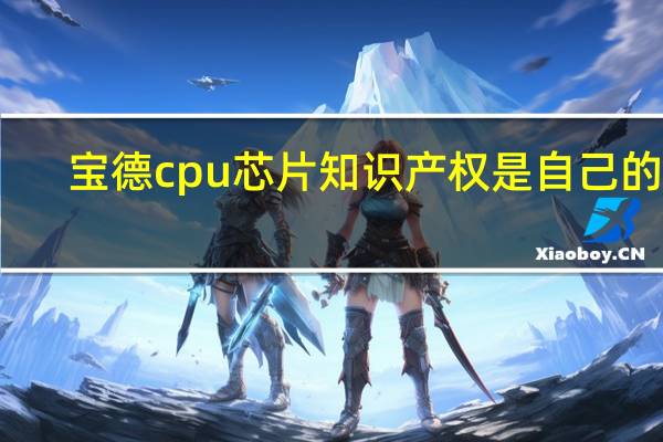 宝德cpu芯片知识产权是自己的吗