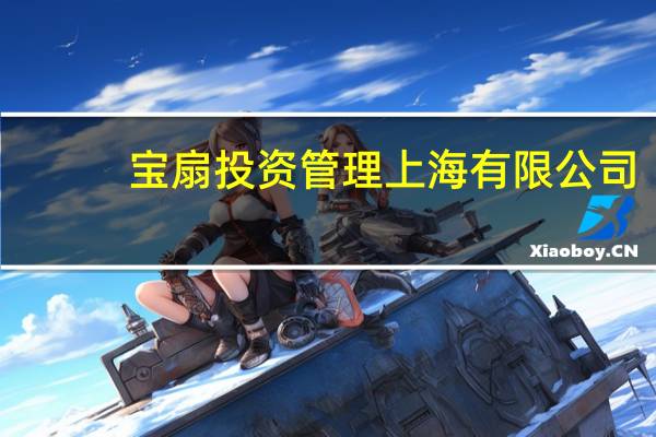 宝扇投资管理 上海有限公司(关于宝扇投资管理 上海有限公司简述)