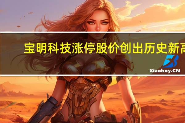 宝明科技涨停股价创出历史新高