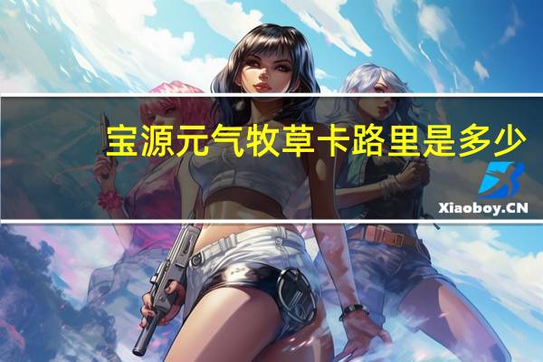 宝源 元气牧草卡路里是多少