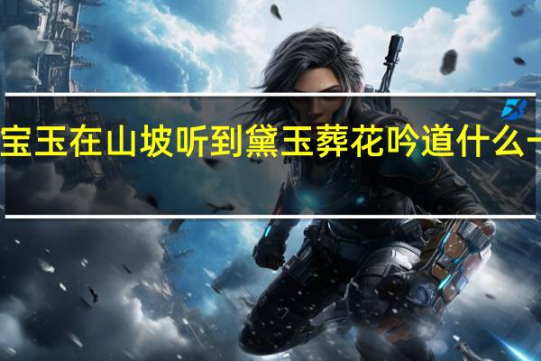 宝玉在山坡听到黛玉葬花吟道什么一句是