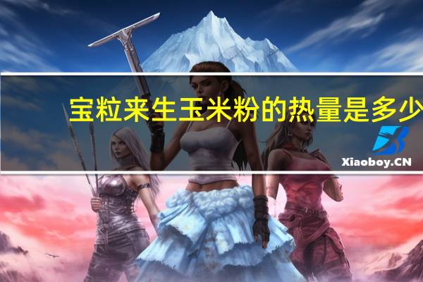 宝粒来 生玉米粉的热量是多少