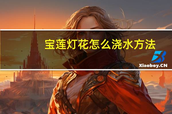 宝莲灯花怎么浇水方法