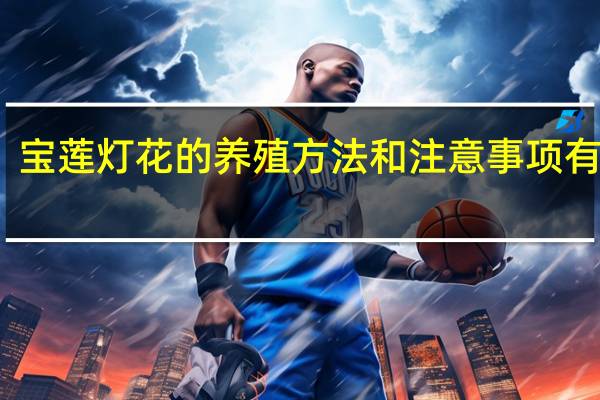 宝莲灯花的养殖方法和注意事项有哪些