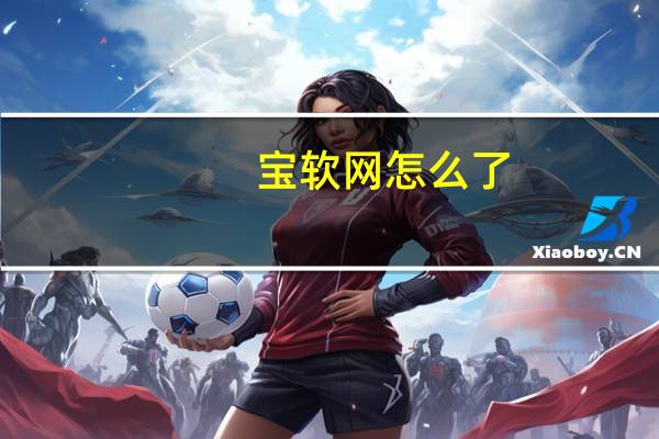 宝软网怎么了(手机宝软网)