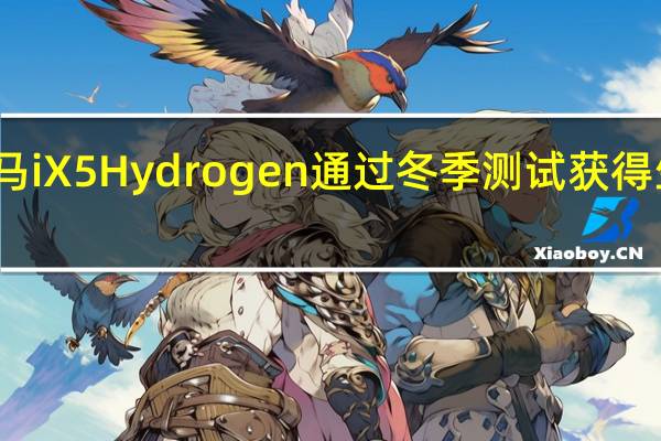 宝马iX5Hydrogen通过冬季测试获得生产许可
