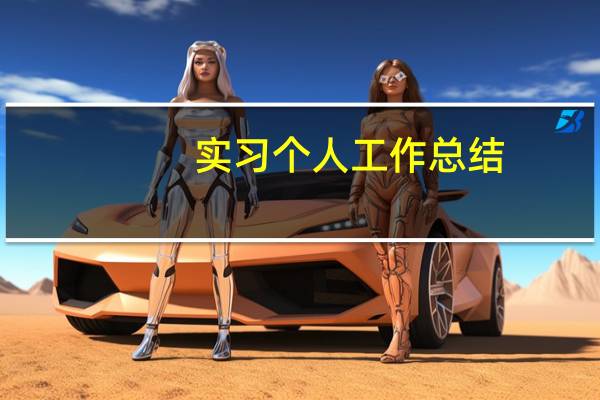 实习个人工作总结