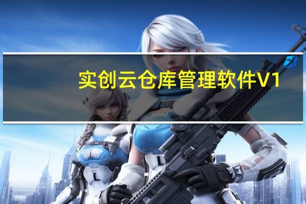 实创云仓库管理软件 V1.3.3 官方版（实创云仓库管理软件 V1.3.3 官方版功能简介）