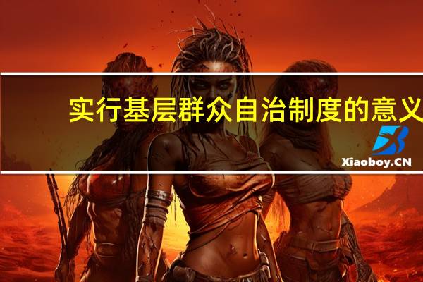 实行基层群众自治制度的意义
